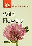 Wild Flowers Wild Flowers