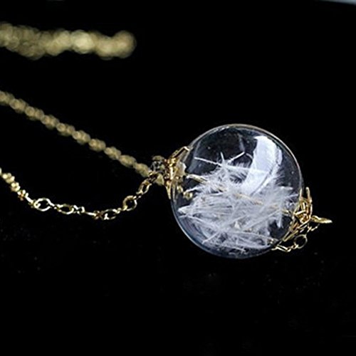 ROSENICE Mini Leeren Glasflaschen mit Löchern für DIY-Handwerk - 2
