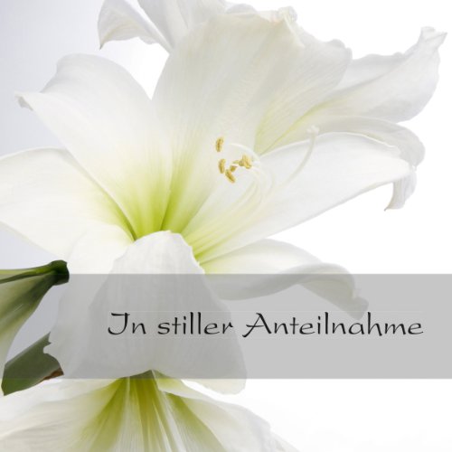 Sigel DS006 Trauer-Karten weiße Amaryllis, 10er Set mit Umschlägen - 2