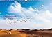Geheimnisse der Wüste - Nordafrika (Wandkalender 2013 DIN A3 quer): Nordafrikanische Wüstenlandschaften (Monatskalender, 14 Seiten) by