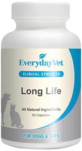 EverydayVet-Long-Life