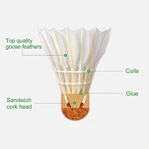 Badminton Shuttlecocks, Adibo 12 Packs Training Sport Feather Shuttlecocks Birdies Badminton Ball for Gym Fitness Game Outdoor Exercise Badminton Shuttlecocks, Adibo 12 Packs Training Sport Feather Shuttlecocks Birdies Badminton Ball for Gym Fitness Game Outdoor Exercise