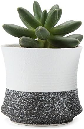 T4U 8CM Ceramic Korae Style Snow Serial No.3 Succulent Plant Pot Cactus Plant Pot Flower Pot Container Planter