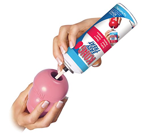 KONG Puppy Dog Toy - Small, Blue/Pink