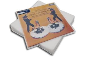 Protected LP Schutzhüllen aus PE (100 Stück)