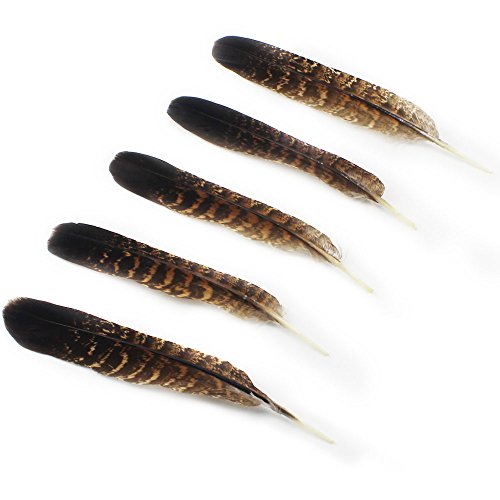 JPSOR 12 Stück Natürliche naturfarben Adler Feder, 6-8 Inch, für Kunstwerk Dekoration - 4