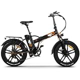 YES BIKE Bici elettrica Modello Urban Sport 250W 48V Batteria Samsung 13Ah  48V Fat ebike : Sport e tempo libero