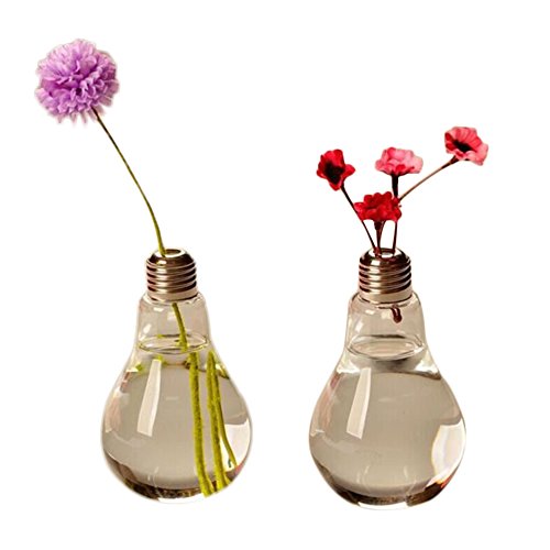 Da.Wa Glasvase in Form einer Glühbirne Blumenvase Pflanzen Micro Landschaft Eco Transparent Bottle,12 x 8 cm - 4