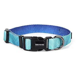 Heads Up For Tails Summer Sky Dog Collar - XS