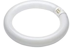 BELL Tube Fluorescent T9 Circulaire 32 W - Blanc Froid - 840 - T9 G1OQ