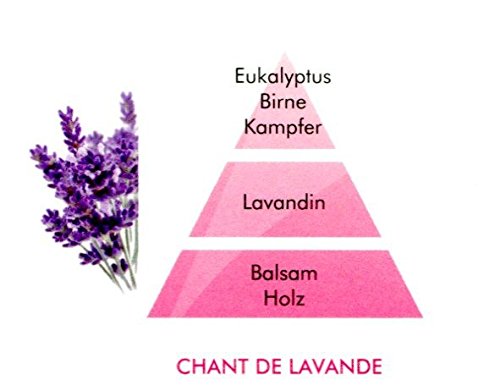Lampe Berger Paris Nachfüllflasche Raumduft Chant de Lavande (0,5l) - 3