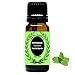 BrownBoi Peppermint Oil(Plant & Leaf) 10ML----Best for Skin, Hair & Acne RS.199.00