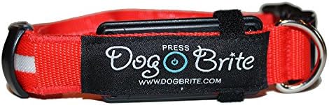 Dog Brite EL Lighted Waterproof High Visibility Dog Collar, Red