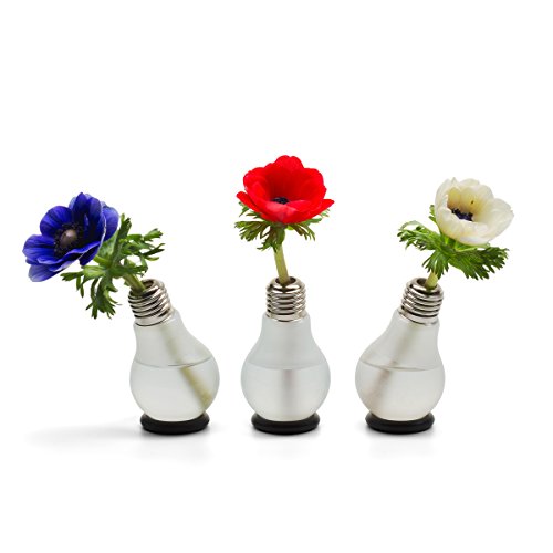 Blühbirne – Glühbirnenvase - 7