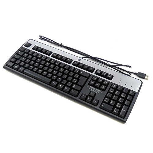 HP Clavier Azerty Noir Argenté USB Hewlett-Packard KU-0316 SK-2885 PC Keyboard HP Clavier Azerty Noir Argenté USB Hewlett-Packard KU-0316 SK-2885 PC Keyboard