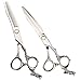 Produktbild Friseur Schere Haar Schere Haar Ausdünnung Schere Verdünnung Schere Set 6 Zoll / 17.5cm Verdünnung Schere Set Stylist Spezielle Haar schneiden Schere