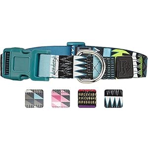 Friends Forever Collar de perro con patrón diseño