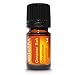 Produktbild doTERRA Cinnamon Essential Oil 5 ml by doTERRA