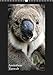 Australiens Tierwelt (Wandkalender 2019 DIN A3 hoch): Einzigartig wie das Land (Monatskalender, 14 Seiten ) (CALVENDO Natur) by 