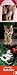 Katzen long 2010 by