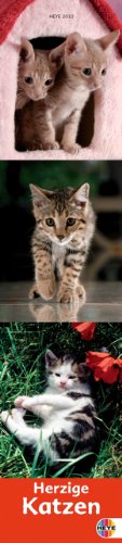 Katzen long 2010