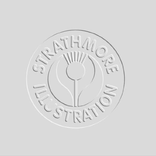 Strathmore Artist Papers 500 Series Illustration Board Sheets (30"x40")