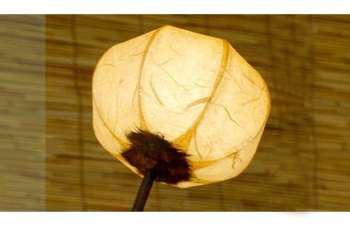 2 Laternen Weiss Tischlampe Papier Dekorlampe Porzella Wohnzimmer Schlafzimmer - 5