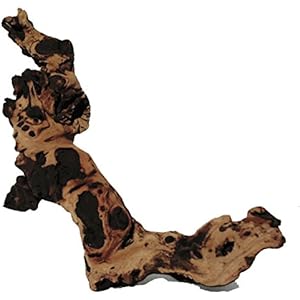 JBL 67012 Wurzelholz für Aquarien und Terrarien, Mopani Wurzel Gr. M