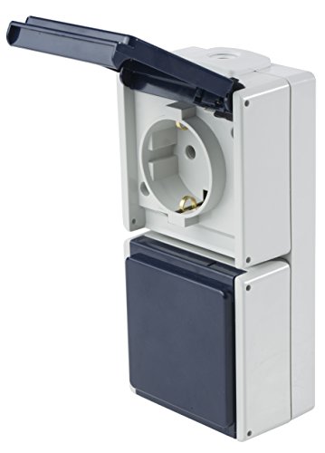 AS-Schwabe 62462 Enchufe de Pared Doble, Vertical con 2 Entradas de Cable, IP54, Para Exterior, Color Gris