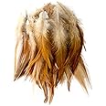 FEARAFTS Rooster Saddle Feathers for Crafts Decoration, DIY Jewelry Making, Dream Catcher Accessories (Natural) -Pack of 100