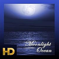 Moonlight Ocean HD