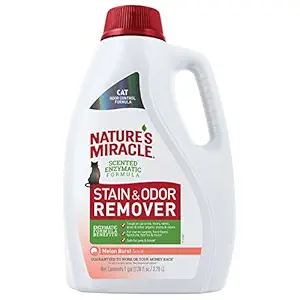 Nature's Miracle P-98154 Cat Stain and Odor Remover, Melon Burst Scent, Enzymatic Formula for Urine Stains, Feces Stains, Vomit Stains and Drool Stains, Odor Control, 128 fl oz