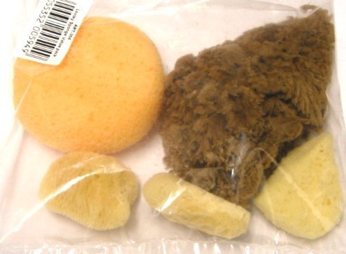 Preisvergleich Produktbild KÜNSTLER LOXLEY ASHGATE KÜNSTLERLEINWAND, NATUR, MEER, RADIERSCHWAMM