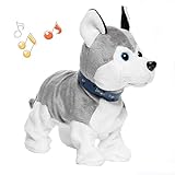 Trouvez Lanimal Interactif Idéal Pour Votre Ado