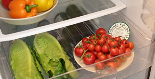 Ecoegg Frischer für länger Discs, 4 Stück - 5