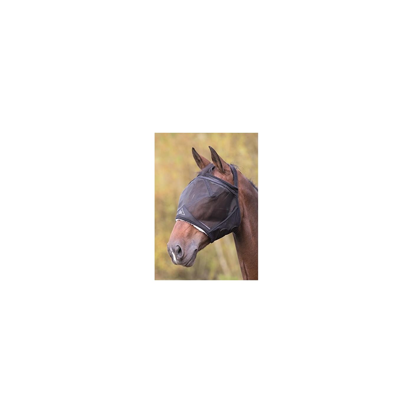 Horse ‘n’ Pony