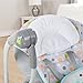 Bright Starts Comfort & Harmony Ingenuity ConvertMe 2-Seat Swing, Avondale