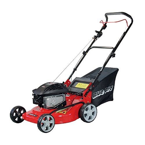Blue Bird Taurus 46 Benzin-Rasenmher