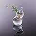 Imported Calabash Shape Glass Wall Hanging Flower Vase Plant Bottle Home Decor RS.325.00
