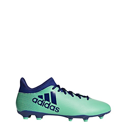 Adidas X 17.3 Fg, Scarpe da Calcio Uomo, Blu (Azul/(Aerver/Tinuni/Vealre) 000), 42 EU