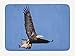 Produktbild JIEKEIO Eagle Bath Mat, Hunter Bird Carrying a Fish to The Nest in Open Blue Sky Predator Cycle of Life, Plush Bathroom Decor Mat with Non Slip Backing, 23.6 W X 15.7 W Inches, Dark Brown Blue