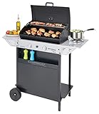 Potente y de alta calidad: 2 quemadores de acero aluminizado de alto rendimiento (8,2 kW) + 1 quemador lateral (2,1 kW) para calentar salsas o guarniciones; con piezo para facilitar el encendido