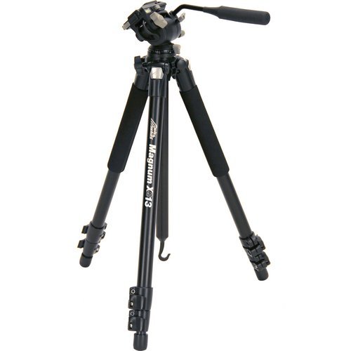 Davis & Sanford MAGNUMXG13 Stativ fr DSLRs/ Videokameras 182,9cm mit FX13-Kopf