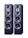 Swans Jam&Lab 8HT Floor Standing 200Watts 2.0 Speaker System RS.77998.00