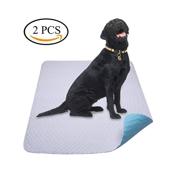 Yangbaga Lot De 2 Tapis Educateur Chien Ultra Absorbant 90 80cm Alese Lavable De Grande Taille Pour Chien Chat Tapis Roman La Veille Du Net