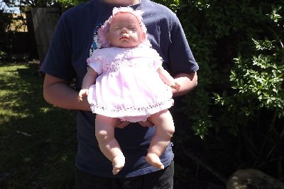 PRIMROSE Lifesize 18