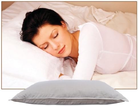 Thomasville Exhilarate Micro Denier Fiber Pillow 2 Pack Size King by Thomasville