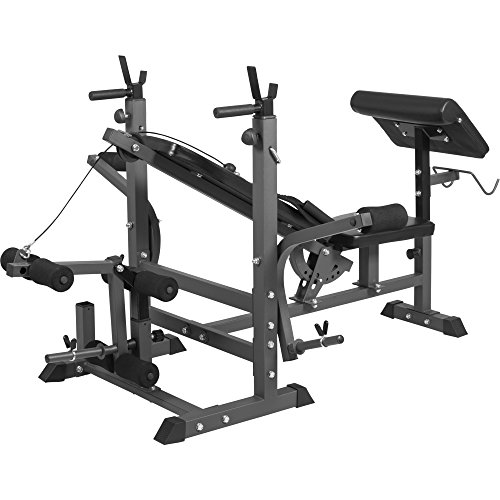 GYRONETICS E-Series Universal Multi-Schrägbank Kraftstation mit Beincurler, Dipper, Bauchtrainer, Curler, Butterflys / Muskeltraining – Hantelbank für Langhantel Kurzhantel Training - 6