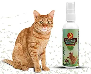 Sage Square Pet Care International (PCI) Catnip Spray Natural Way to Relax and Train Your Kitten/Cat (100ml)