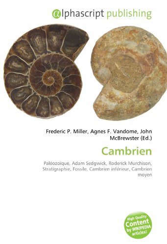 Cambrien: Paléozoïque, Adam Sedgwick, Roderick Murchison, Stratigraphie, Fossile, Cambrien inférieur, Cambrien moyen gratuit